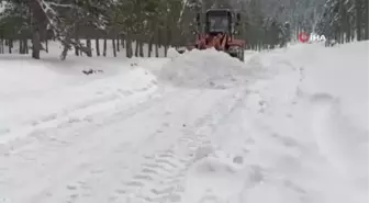 Amanoslar'da kardan kapanan yayla yolları ulaşıma açılıyor