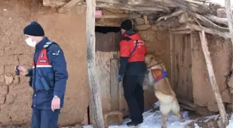 Kırıkkale'de kayıp zihinsel engelliyi arama çalışmalarında 2'nci gün