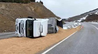 Kontrolden çıkan tır devrildi... 25 ton buğday yola saçıldı