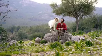 Turna Misali 41. İstanbul Film Festivali'nde yarışacak!