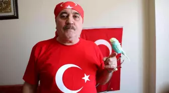 Bu kuş 'Muhsin Başkan ruhun şad olsun' diyor