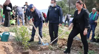 Adana'da orman yangınında zarar gören alana 2 bin 22 fidan dikildi