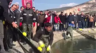 Balıkçılar ağı tarladan çekti...Tarım ve Orman Bakan Yardımcısı Özkaldı'nın katılımı ile 'Tarla Balıkçılığı hasat' töreni düzenlendi