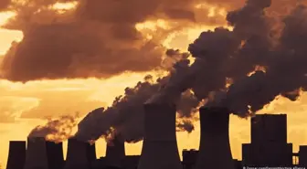 STK'lardan kömür raporu