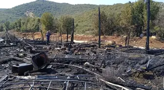 Son dakika gündem: Burdur'da ağılda çıkan yangında 46 keçi telef oldu