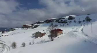 Baharı bekleyen Karadeniz yaylaları beyaz örtüyle kaplandı