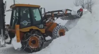 Giresun'da karla mücadele çalışmaları devam ediyor