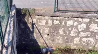 Dün kaybolan bedensel engelli, dere yatağında ölü bulundu