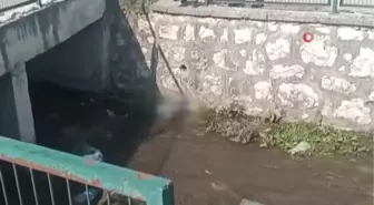 Kayıp olarak aranan şahsın cansız bedeni derede bulundu