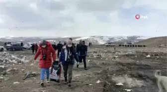 Sokak hayvanları için mama ve su bırakıldı