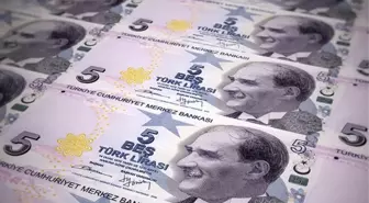 Yeni 5 TL'ler kullanıma girdi! Banknotlarda sadece bir değişiklik var