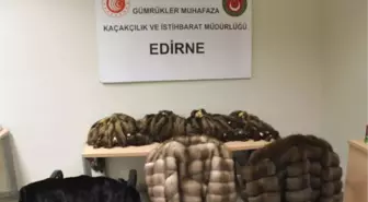 Kapıkule ve Sarp sınır kapılarındaki operasyonlarda kaçak kürk ve post ele geçirildi