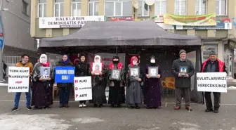 Muş'ta annelerin evlat nöbeti devam ediyor