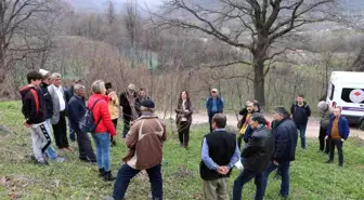 Yalova'da çiftçilere Trabzon hurması budama eğitimi