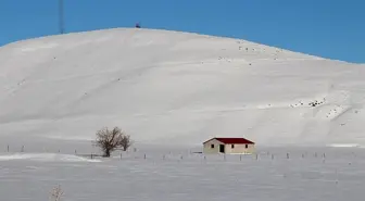 Beyaza bürünen Bingöl Karlıova'da karın etkisi sürüyor