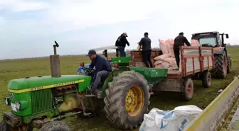 Mera alanlarında gübreleme başladı