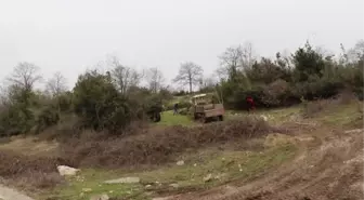 Doğal olarak yetişen defne, kırsalda yaşayanlara gelir kapısı oldu