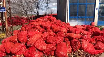 Yol kenarına atılmış yüzlerce çuval soğan, ekipleri harekete geçirdi