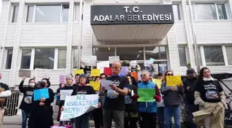 Büyükada'da hayvanseverlerden eylem: 'Sokak hayvanlarıyla ilgili taleplerimiz yerine getirilmiyor'