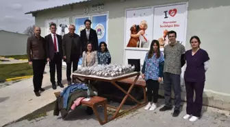 Keşan Belediyesi'nden 4 Nisan Sokak Hayvanları Günü etkinliği