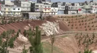 Şahinbey'de ağaçlandırma çalışmaları devam ediyor