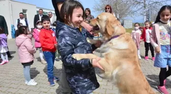 Torbalı Belediyesi can dostlarını unutmadı