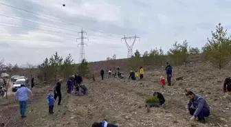 Türkeş'in vefatının yıldönümünde fidan dikimi gerçekleştirildi