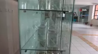 Türkiye'nin en zengin balık müzesine yurt dışından yoğun ilgi