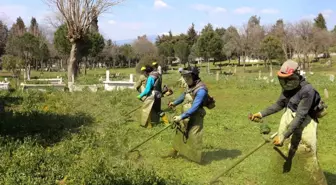 Efeler'de mezarlıklar temizleniyor