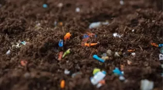 Uzmanlardan dünyada mikroplastik kirlenme artıyor uyarısı