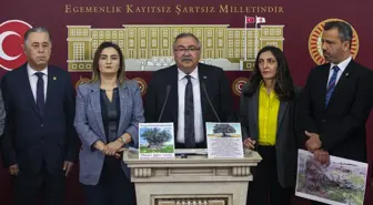 CHP'li Bülbül: 'Zeytinlik alanların madenciliğe açılmasıyla çevre zarar görecek'