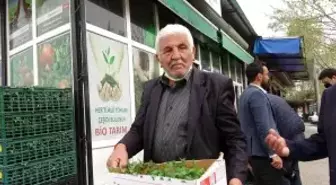 Günde 10 bin fide satılıyor: Vatandaş üretici oldu