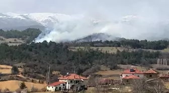 Son dakika gündem: Uşak'ta çıkan orman yangınına müdahale ediliyor