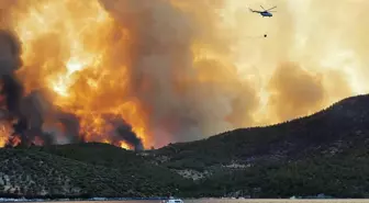 Yangınların sosyo-ekonomik etkileri projesi WWF raporunda