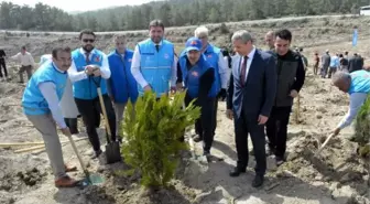 Gurbetçilerden Manavgat'a 250 bin fidan bağışı