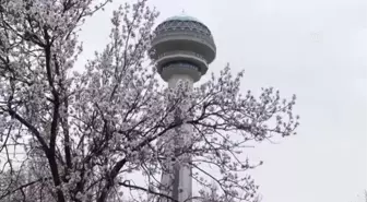 Ankara'da ilkbahar