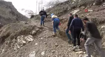 Yüksekova'da yetişen zerik ve siyah üzümün aşı kalemleri Tekirdağ'da muhafaza edilecek