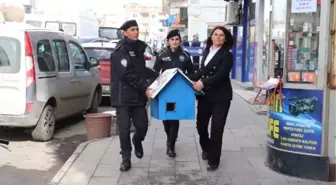 AĞRI'DA POLİSLERİN SOKAK HAYVANLARI İÇİN HAZIRLADIĞI BARINAKLAR CADDE VE SOKAKLARDA