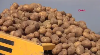 NİĞDE'DE YAZLIK PATATES EKİMİ BAŞLADI