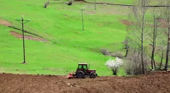 Ordu'da atıl araziler üretime kazandırılıyor