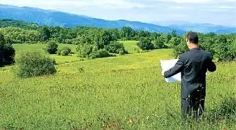 Son Dakika: 2B arazilerinin satışıyla ilgili başvuru süresi 31 Aralık'a kadar uzatıldı