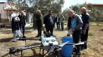 Balıkesir'de zeytin ilaçlamasında dron kullanılmaya başlandı