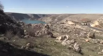 ŞANLIURFA - Korumaya alınan 'Mezopotamya sümbülü' görücüye çıkıyor