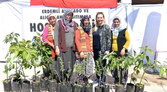 Büyükşehir Belediyesinden Erdemlili üreticilere avokado ve alıç fidanı