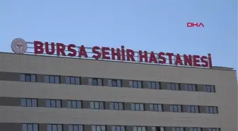 OKUL YOLUNDA 8 KÖPEĞİN SALDIRDIĞI ÇOCUĞUN VÜCUDUNA 80 DİKİŞ ATILDI