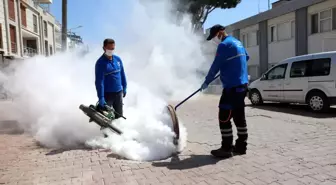 Didim Belediyesi ilaçlama çalışmalarına başladı