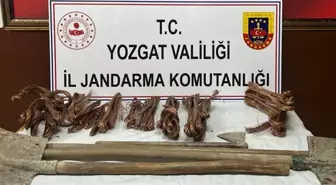 Yozgat'ta kablo hırsızlığı şüphelisi 2 kişi tutuklandı