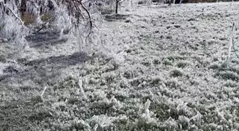 Kayısı bahçelerindeki donun boyutu kameralara yansıdı