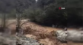 Rize'de eriyen kar suları heyelana neden oldu