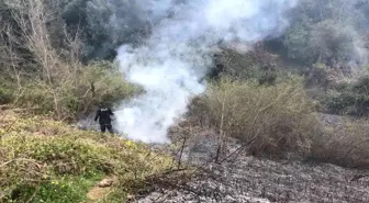 Sinop'ta çıkan yangının büyümesini polis önledi